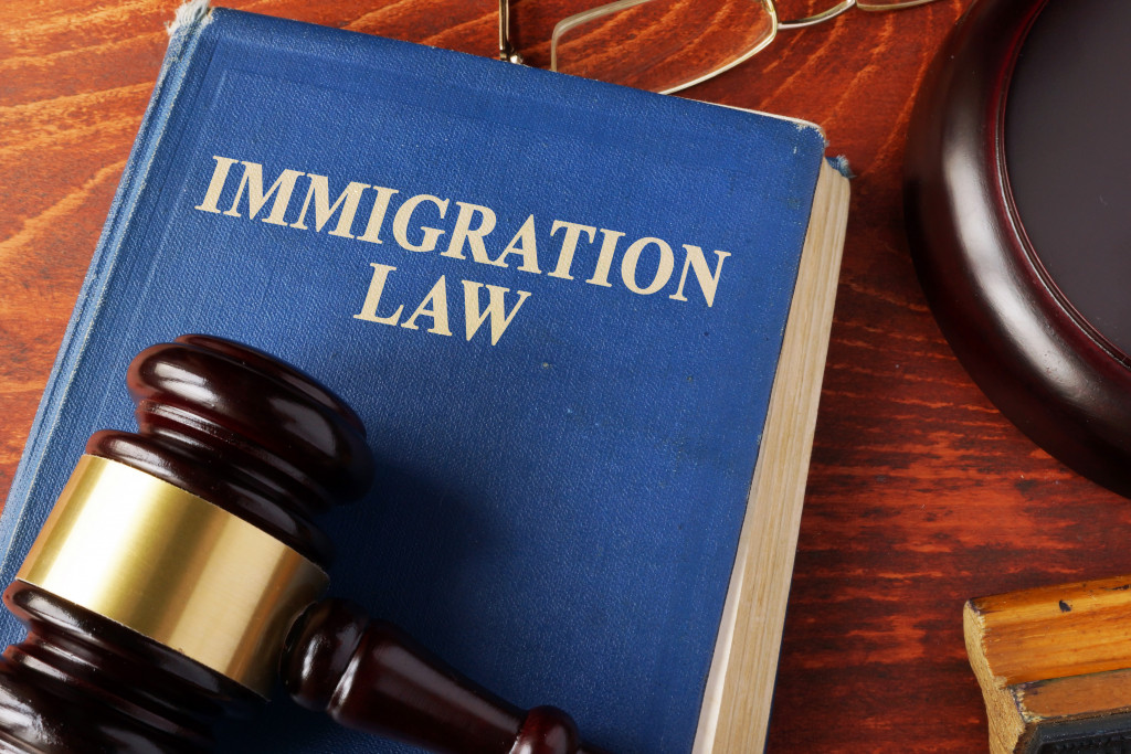 immigration law